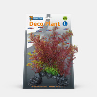 DECO PLANT CABOMBA RED DECO PLANT CABOMBA RED